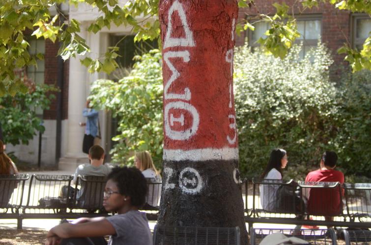 diversity tree